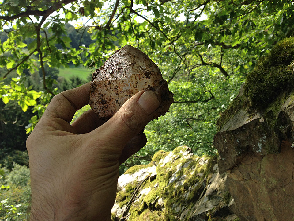 bergkristalle nochern 2014 2781