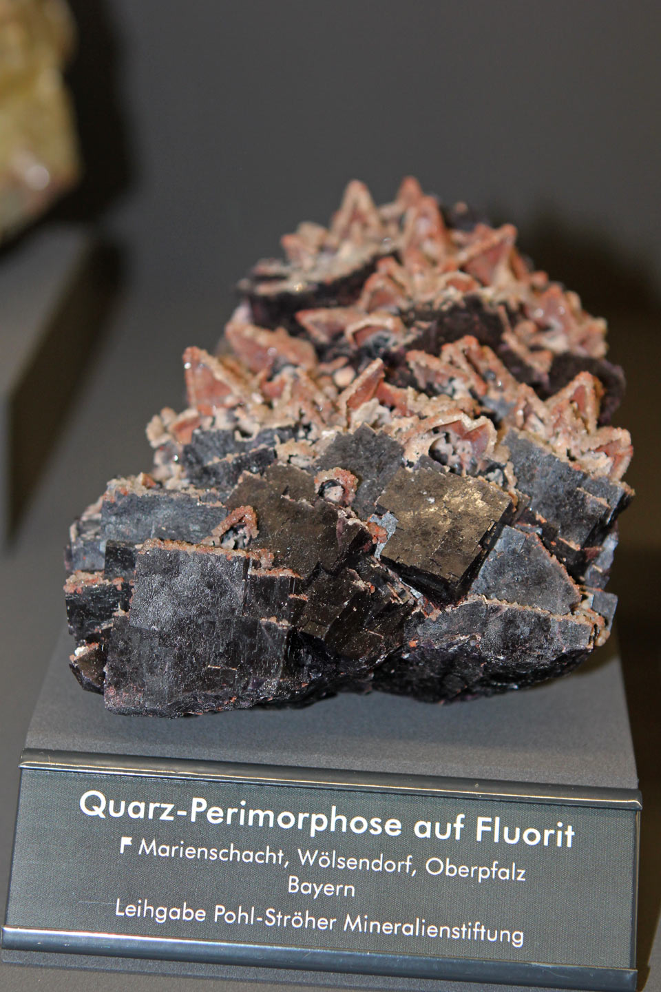 perimorphose kruegerhaus 4468