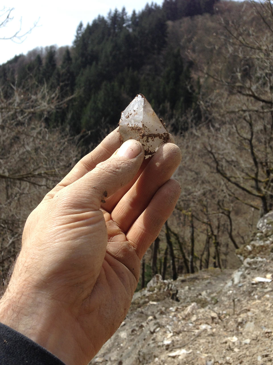 bergkristall taunus klein12.04.2015 4352