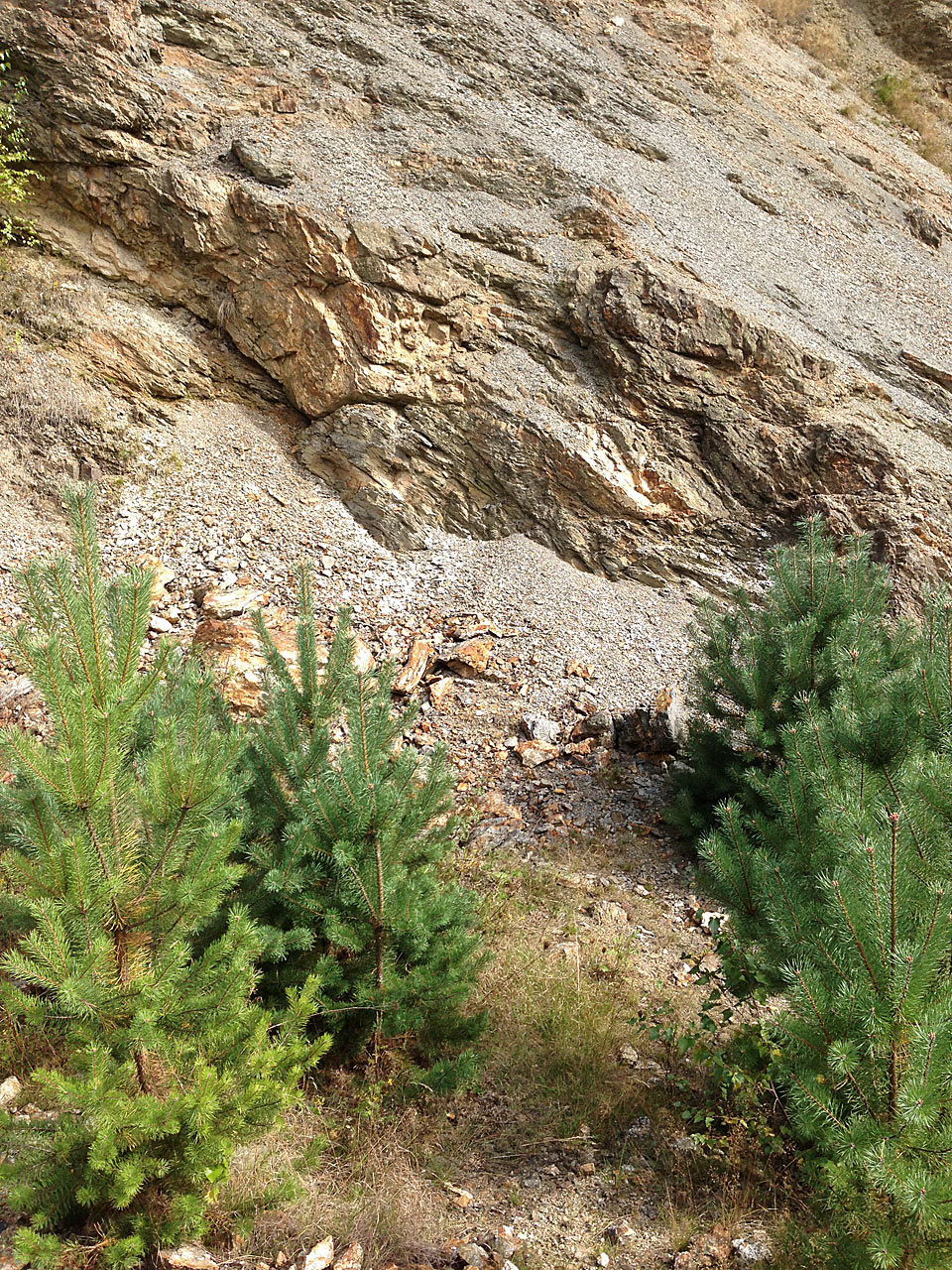 virneberg rheinbreitbach 29.09.2013 2087