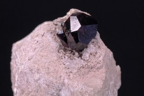 almandin_garnet_hill_usa_5859