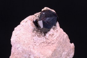 almandin_garnet_hill_usa_5860