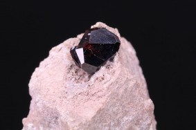 almandin_garnet_hill_usa_5861