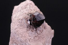 almandin_garnet_hill_usa_5864