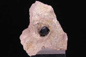 almandin_garnet_hill_usa_5872