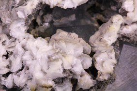 baryt_fluorit_anton_wieden_4225