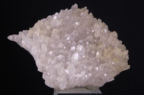 bergkrisatll_rumaenien_9435