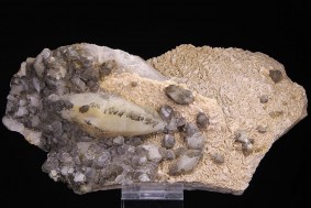 calcit_dolomit_usa_73085.jpg