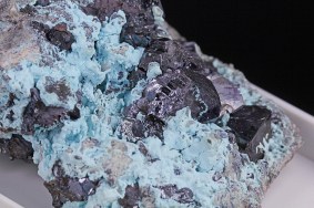 cuprit_australien_1819