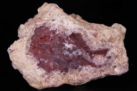 dolomit_perimorphosen_nach_calcit_christiane_4317.jpg