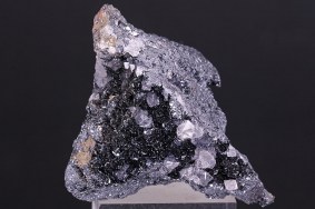 eisenglanz_bindweide_8943