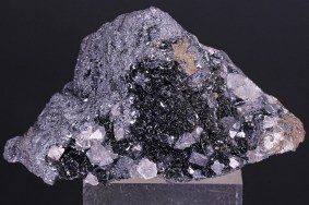 eisenglanz_bindweide_8944