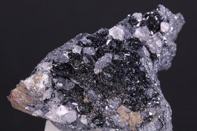 eisenglanz_bindweide_8947