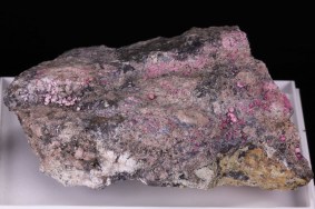 erythrin_bieber_7993.jpg