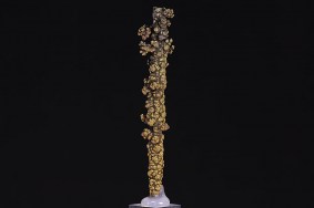 limonit_glaskopf_eisenkaute_0166