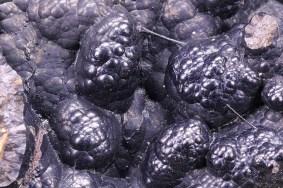 limonit_grube_huth_hamm_4207