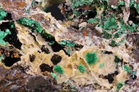 malachit_vahlberger_zug_rohte_muehle_0704