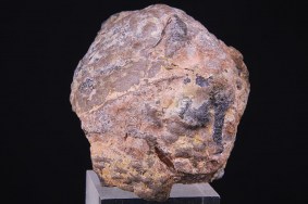 opal_ethiopien_2217