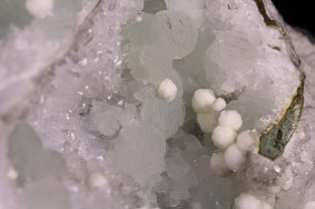 prehnitt_poona_indie_8514