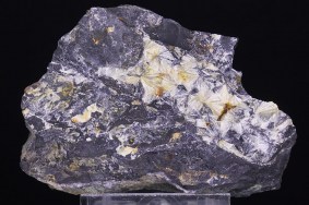 wavellit_duensberg_giessen_hessen_2316