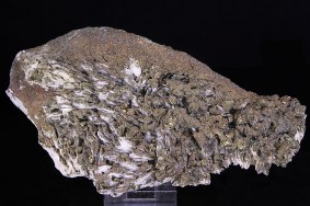 zinkblende_pyrit_kupferkies_baryt_dreislar_5842.jpg